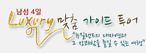 최고급 차량과 전문 전담 가이드 투어
